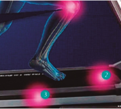 Беговая дорожка BH FITNESS PIONEER R2