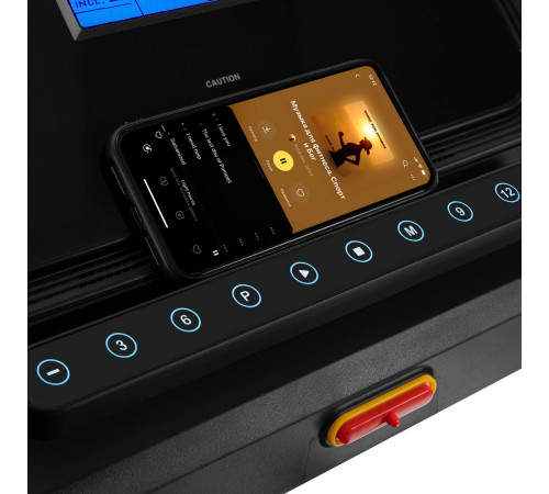 Беговая дорожка Titanium Masters Physiotech M380