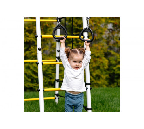 Детский спортивный комплекс для дачи ROMANA Богатырь MAX